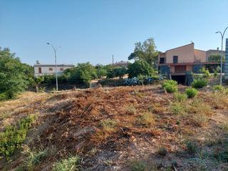 Terreny residencial  Carrer de la pau. Plana y con extraordinario atardecer!!