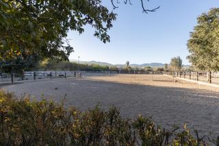 Masia a Diseminados