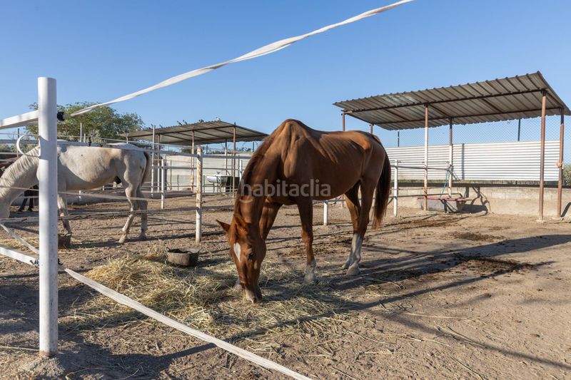 Foto 77e89c89-720d-4336-bd71-78cf124bd1e2. Masía en diseminados en Cumbres Verdes Zubia (La)