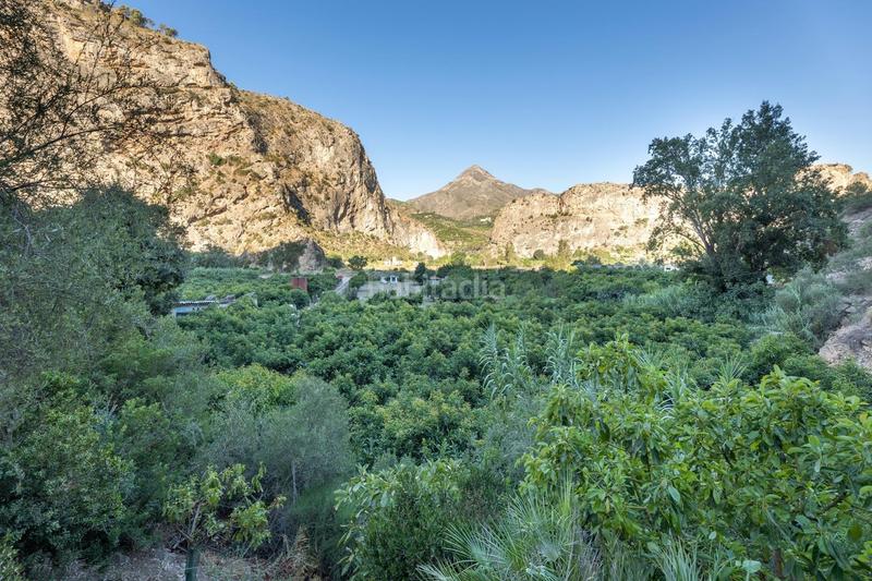 Foto 1a6dc69a-5921-41e0-80a9-b9ada63bc612. Fondo rustico in Vélez de Benaudalla
