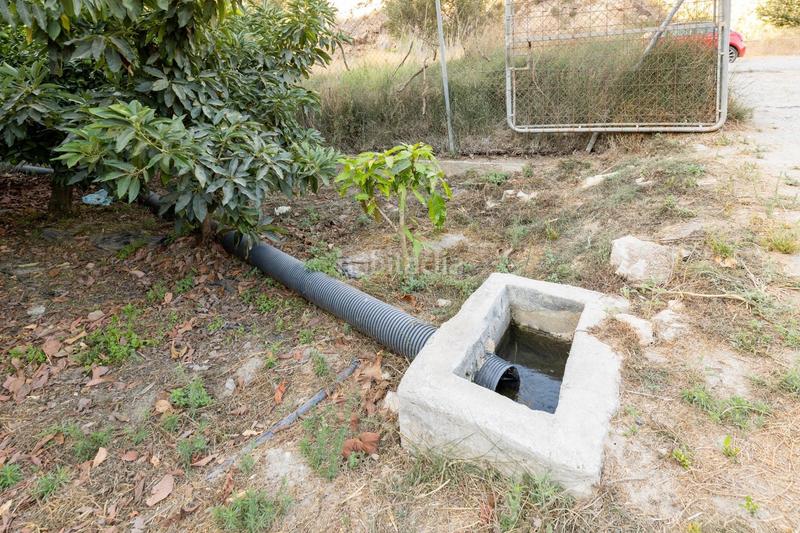 Foto 1c70b5b2-8050-4ea7-94b1-79e184784b02. Fondo rustico in Vélez de Benaudalla