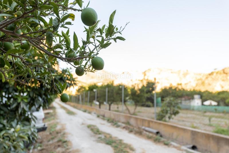 Foto 1e3b1715-4a38-47a2-971a-c159a85ad709. Fondo rustico in Vélez de Benaudalla