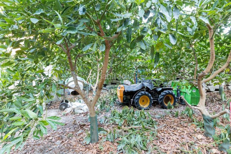 Foto 364688fc-c4e6-4c02-9f5b-ab2c4b636adb. Fondo rustico in Vélez de Benaudalla