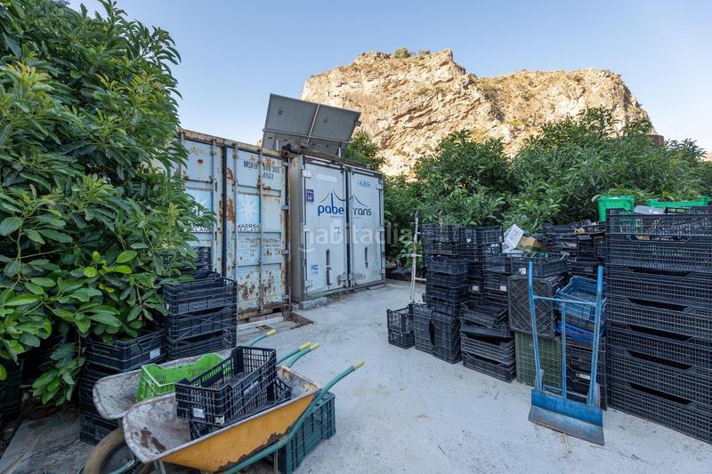 Foto 4d979e2a-adc1-41cb-aef6-982c0a4df6ef. Fondo rustico in Vélez de Benaudalla