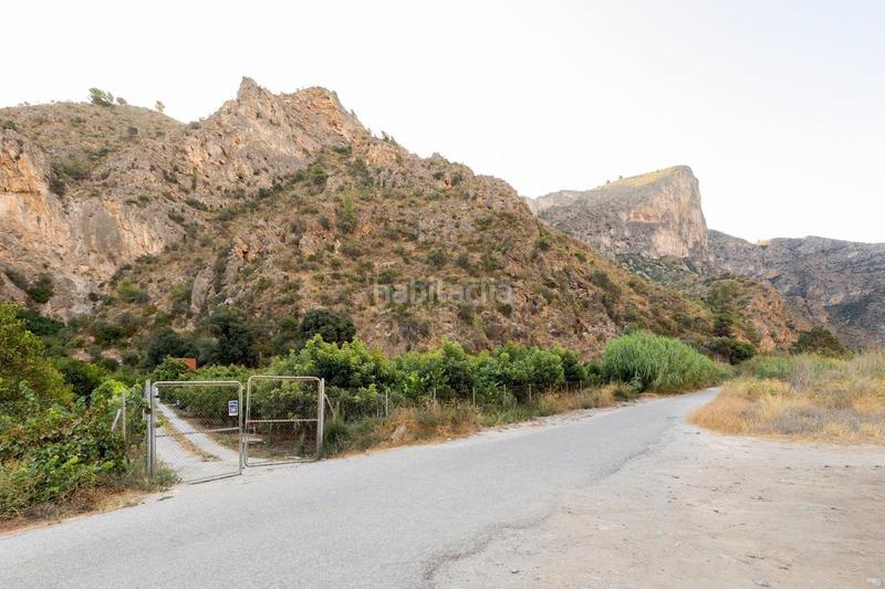 Foto 5d59fce8-3ff8-4831-bac3-7445bb39bc6b. Fondo rustico in Vélez de Benaudalla