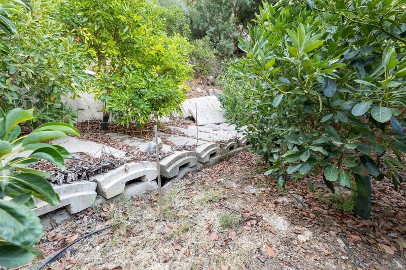 Foto 967a8c79-9378-4362-97c2-1e49bcd5478c. Fondo rustico in Vélez de Benaudalla