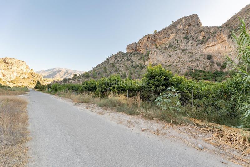 Foto 9f6f353c-4e94-40a4-ad1d-47fe4bd2cbe7. Fondo rustico in Vélez de Benaudalla