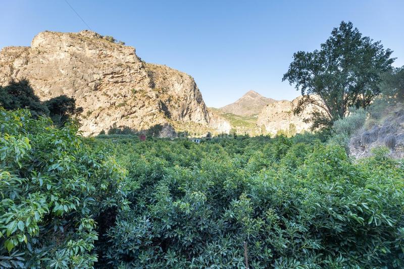 Foto c80c4809-e909-4b8b-a5ee-907a546a7b8d. Fondo rustico in Vélez de Benaudalla