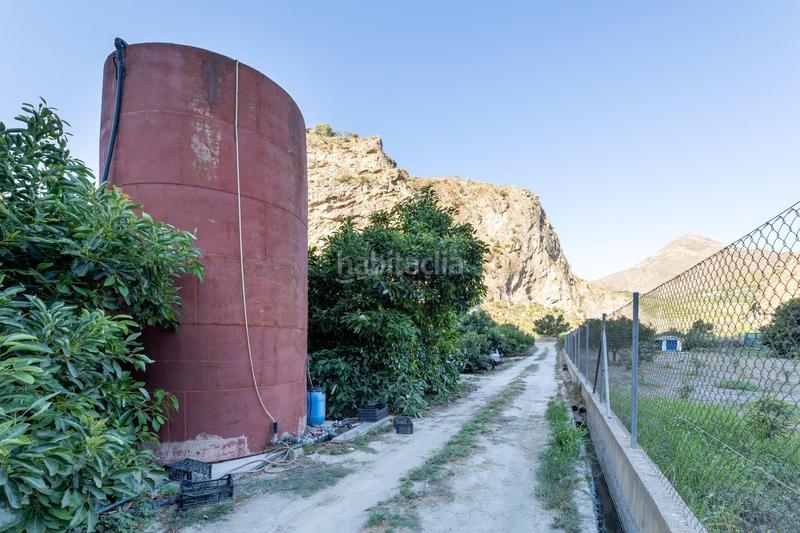 Foto e218cc85-6030-4599-927a-7295b1da8ccc. Fondo rustico in Vélez de Benaudalla