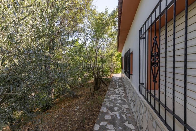 Foto 036b0a70-6fd0-4d02-8207-6544e6392611. Finca rústica a Montefrío