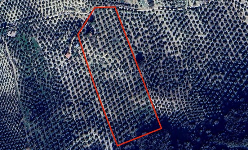 Foto 8ad39a47-1a94-403c-a921-dcebf38b2d95. Finca rústica a Montefrío