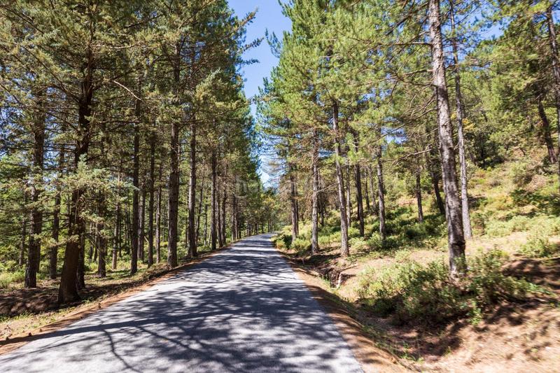 Foto 5b9065cb-0029-4547-9847-7d1f4134a3a4. Residential plot in Huétor de Santillán