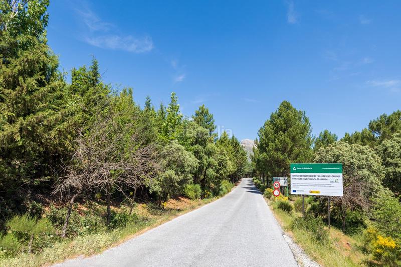 Foto 740648f9-e4ab-4ab2-ae08-3d4aa4182a16. Residential plot in Huétor de Santillán