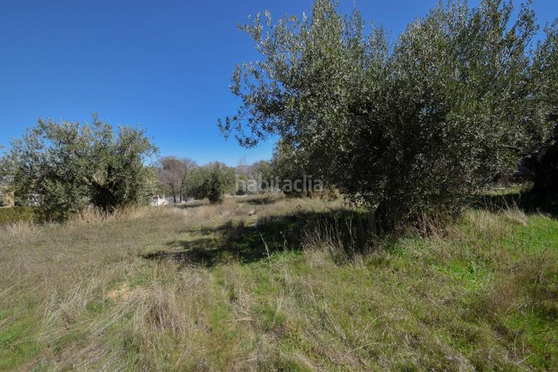 Foto cbd0d52d-76e2-4258-8e48-37e3c8b59ce3. Wohngrundstück in Villa de Otura