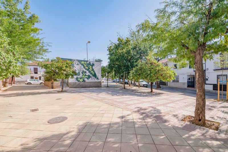 Foto ff65c011-dd6e-4ce5-bd76-dd0ce97081bc. Casa a Bobadilla Granada