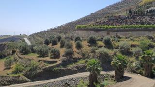 Masía en Torrox Pueblo. Se vende parcela en torrox