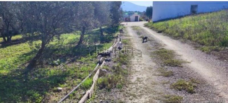 Foto f7b336c5-a158-4319-923b-e1ab47d0366c. Country house with pool in Centro Alhaurín el Grande