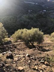 Terreny residencial a Torrox Pueblo. Se vende terreno