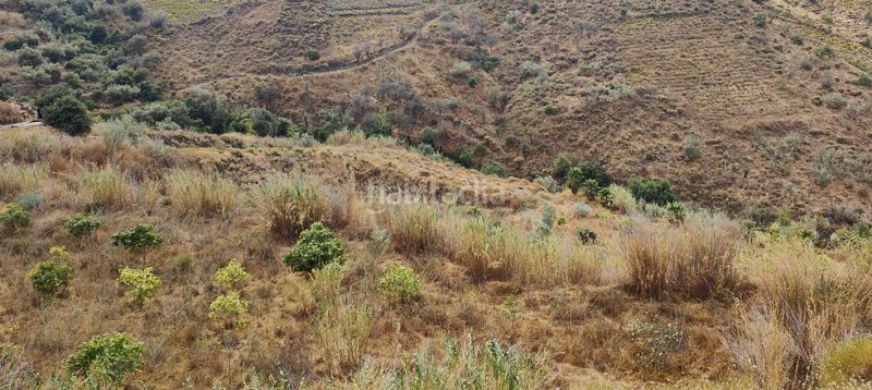 Foto a9ec7a82-7d51-45b3-ab42-ae0dd8143deb. Finca rústica a Canillas de Aceituno