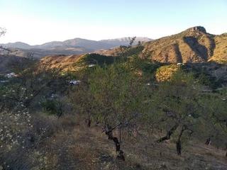 Country house in Benamargosa. Se vende parcela