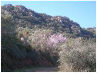 Terreny residencial a Periana. Ref 2339 finca comares 39.500 €  calcula tu cuota comares (málag