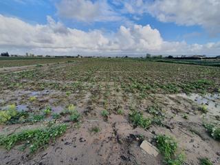 Rural plot  N/a