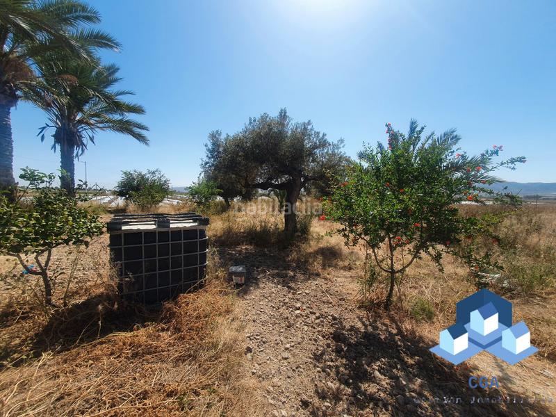 Foto 04b9a972-37ef-4620-99b0-9f03179e160f. Terreny residencial a Cazalla Lorca