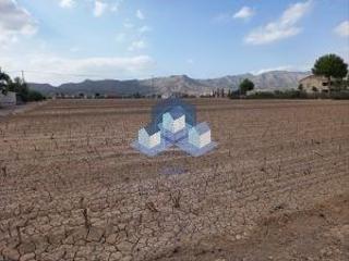 Residential Plot  Camino cartagena