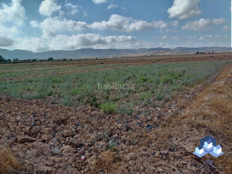 Foto 143a12cc-3926-4a80-b9b2-5adc63b75db0. House with parking in Tercia Lorca