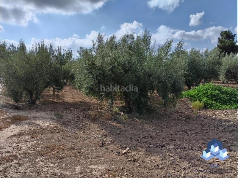 Foto 4cd6b799-888c-4135-9088-0487b21bcfc3. Maison avec parking dans Tercia Lorca