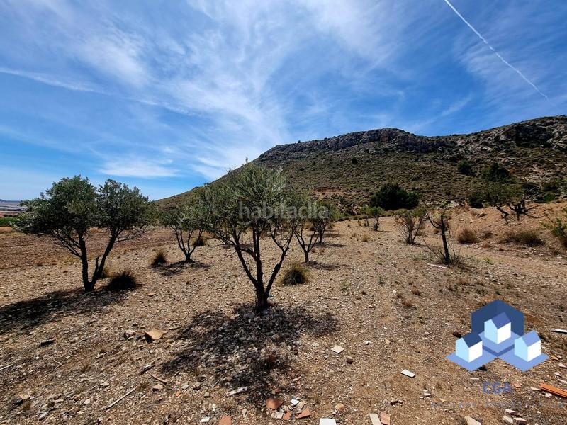 Foto 2691bc47-ca03-4644-bf19-7b0f519df5b6. Casa amb xemeneia a Zarcilla de Ramos Lorca