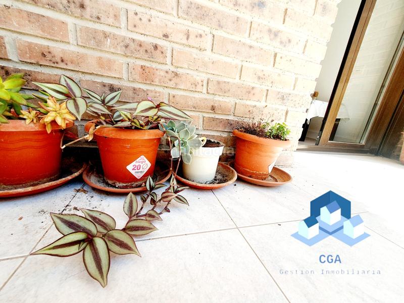 Foto ce476c01-125b-4723-a833-f2ec6ac16bda. Piso avenida juan carlos en San Mateo Lorca