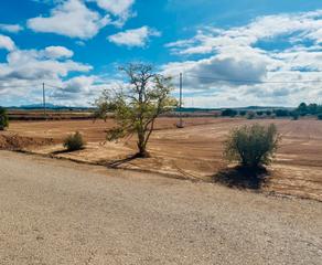 Terrain résidentiel à La Paca. Parcela en la paca