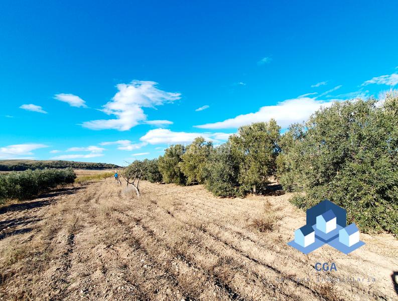 Foto 5d61e581-b6a9-4d9e-8b1c-90334124b5e7. Bauernhof in El Río Lorca