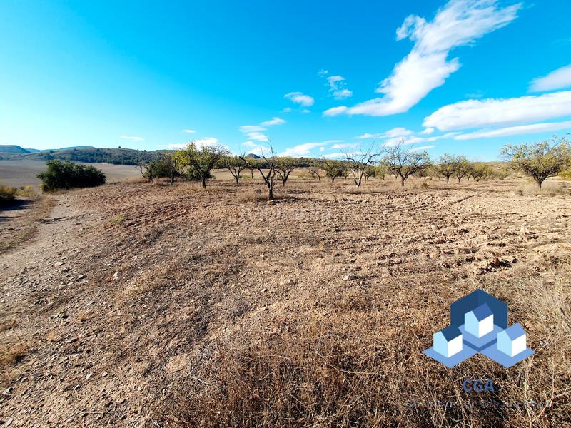 Foto ae3fc01c-a1bc-4a35-bdf1-18e3708655e3. Bauernhof in El Río Lorca