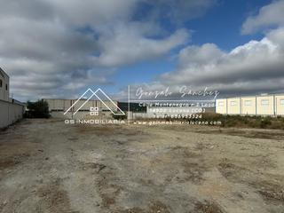 Residential Plot in Las Vegas - Campoaras