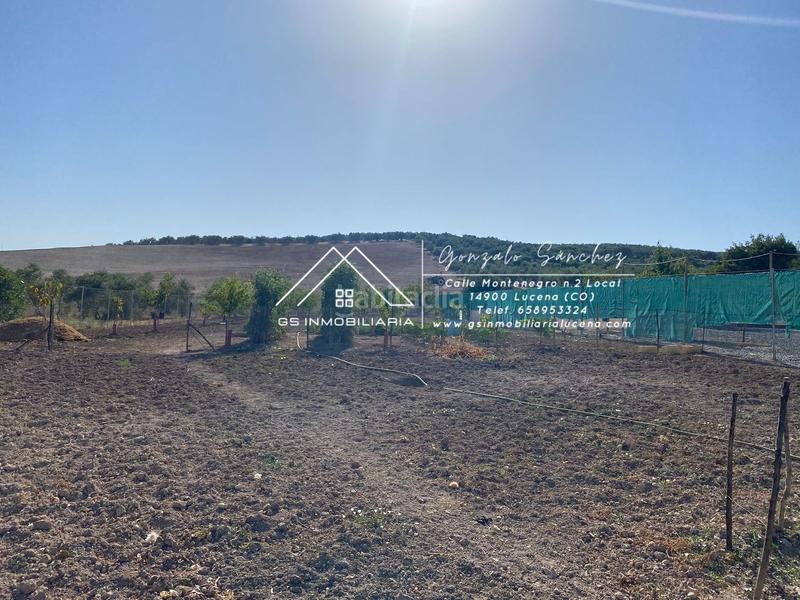 Foto 2e173e94-a34f-44f3-95ba-707f537a4e31. Fondo rustico in Jauja Lucena