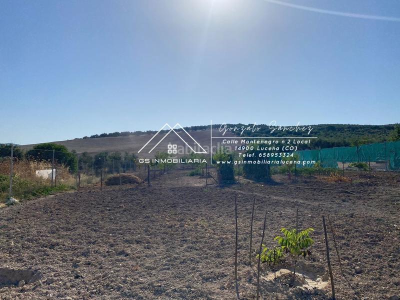 Foto 29c3c77f-a7c6-4938-b3dc-66630f0cebfa. Finca rústica a Jauja Lucena