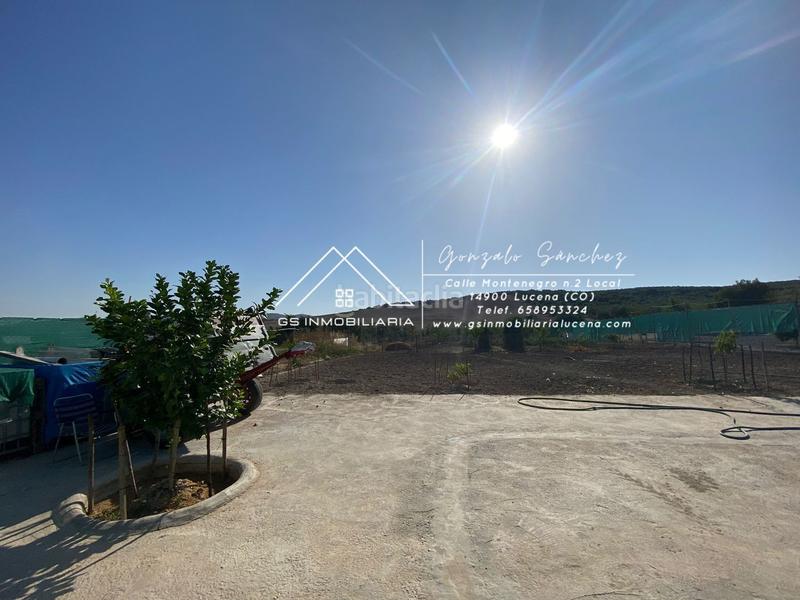 Foto bf86dc9b-2847-47c2-8ca4-a9b5f3eba8b4. Finca rústica a Jauja Lucena