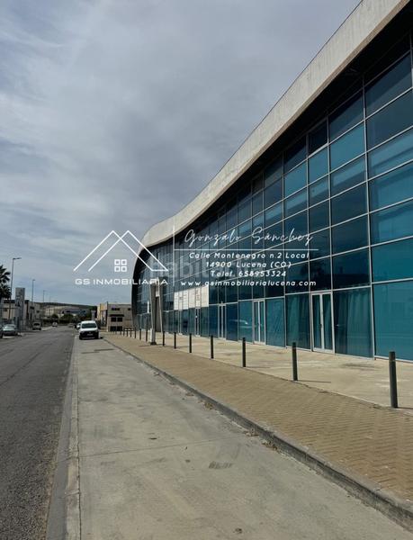 Foto a75dd216-e787-43dd-916e-d05ff12a4225. Alquiler local comercial local calle de la rioja en Lucena