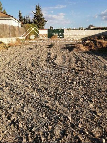 Foto 565151c8-7abb-46ea-88c9-294f53ddf71d. Terreny residencial a Moriles