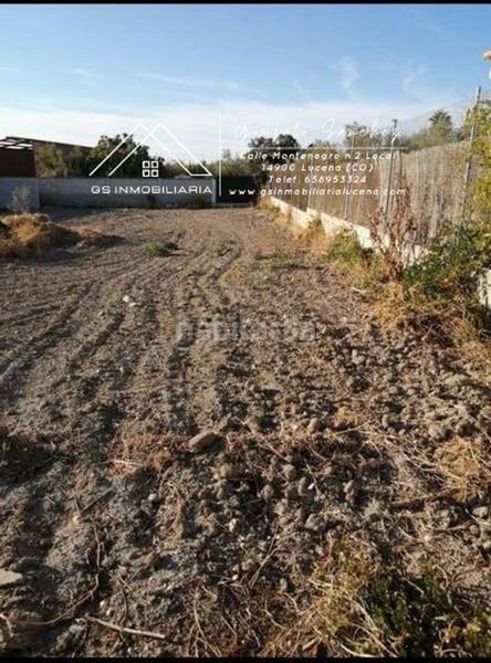 Foto 7c249a66-fd95-491b-92e6-7e4668e58be5. Terreny residencial a Moriles