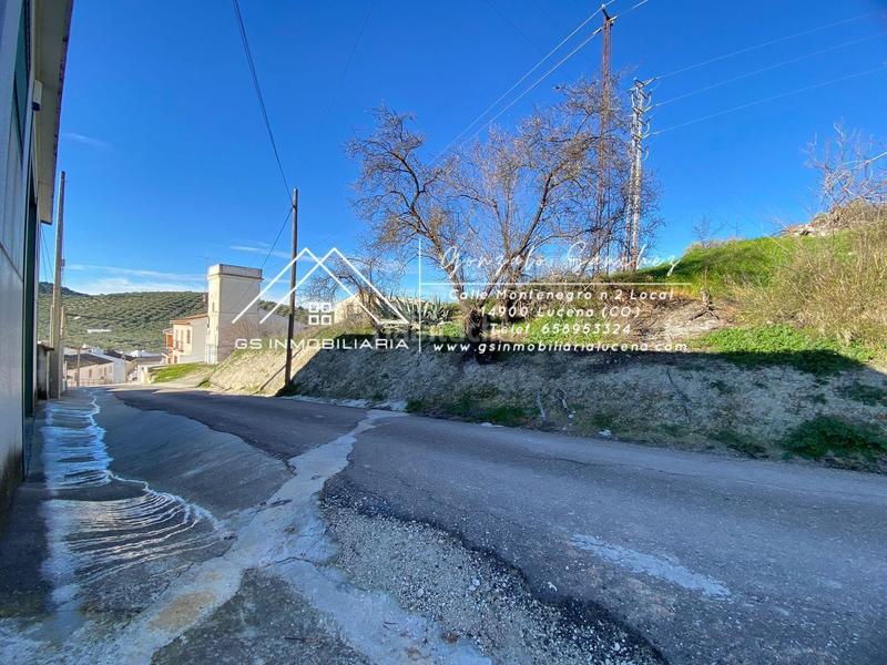 Foto 10f651fc-5f23-4662-981d-1ae281bbf1db. Mas dans Rute