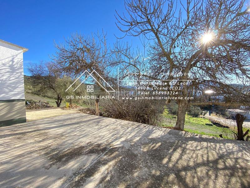 Foto 3ed692ca-02b9-4843-b31e-1cf90b48e86c. Mas dans Rute