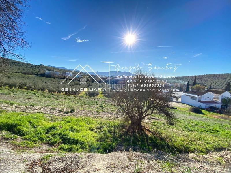 Foto 4f3acc64-c303-43d2-addf-8ff45212551f. Mas dans Rute