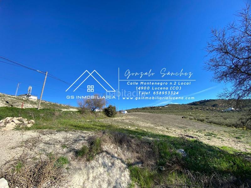 Foto ab8478ca-d65f-489c-b288-9ff21ee7f8da. Mas dans Rute