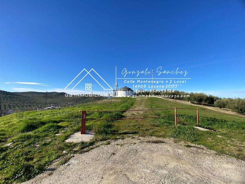 Foto f9d5fd29-c2d9-467c-8f73-fad9db51fce5. Mas dans Rute