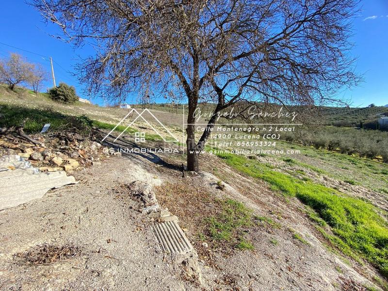 Foto 68676360-1d2d-4361-9038-bcac99d01f01. Masía en Rute