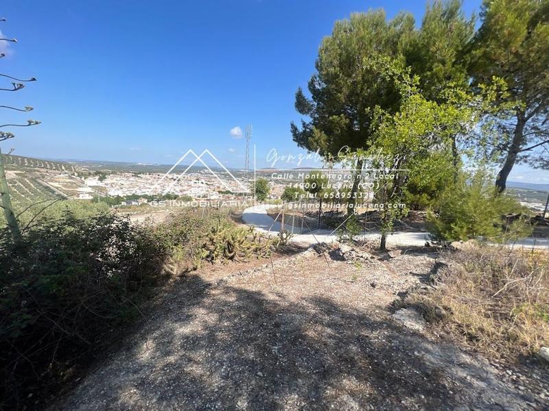 Foto 58ab4581-d571-4aec-9385-97d44ab8ac90. Terreno residencial en El Carmen - La Barrera Lucena