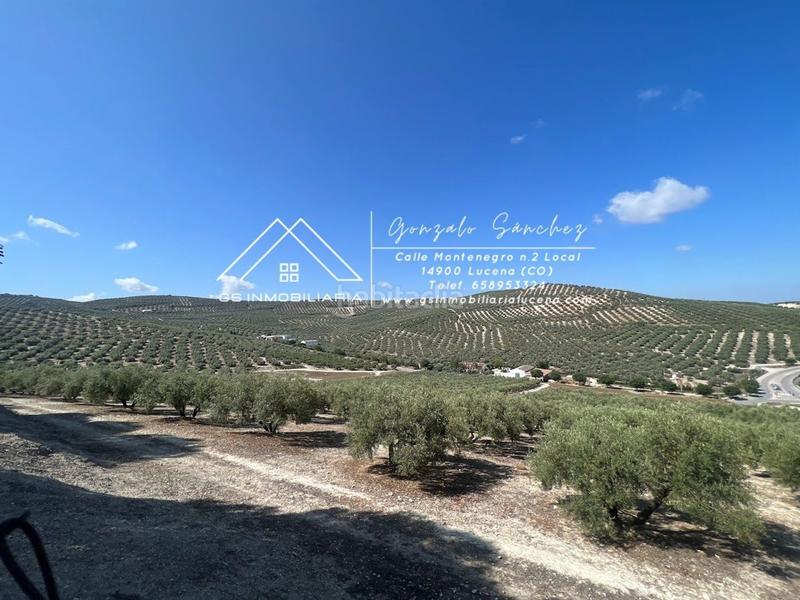 Foto 60cc6a09-ab55-4ebb-894f-0865d29bb58f. Terreno residencial en El Carmen - La Barrera Lucena